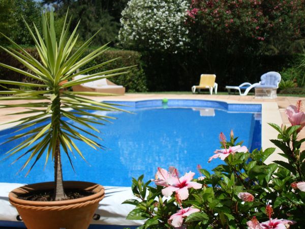Cost of Pool Terrace Renovation in North Charleston